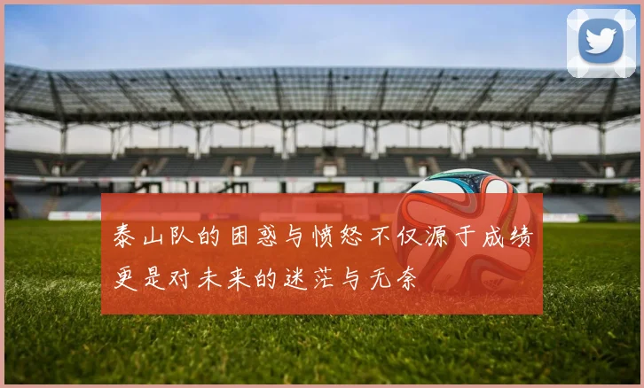 泰山队的困惑与愤怒不仅源于成绩更是对未来的迷茫与无奈