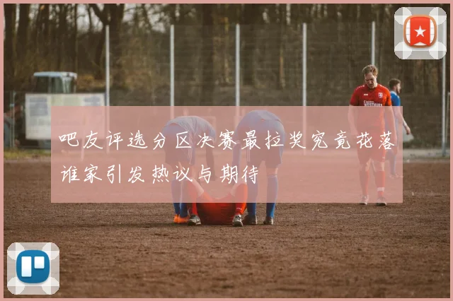 吧友评选分区决赛最拉奖究竟花落谁家引发热议与期待