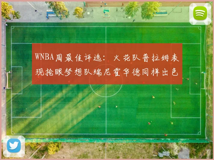 WNBA周最佳评选：火花队普拉姆表现抢眼梦想队瑞尼霍华德同样出色